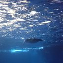 ���� Inga, ������ - ��������� 6 �������� 2016 � ������ �otpusk v UK�