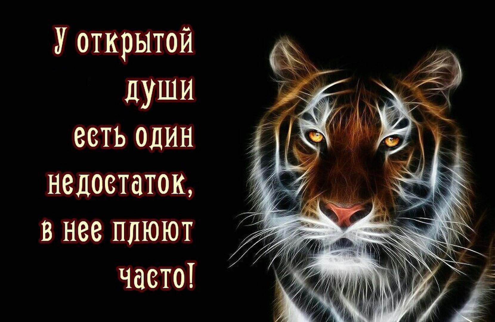 Jolanta - 18  2016  02:05