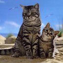 ���� ������, ����� - ��������� 13 ������� 2016