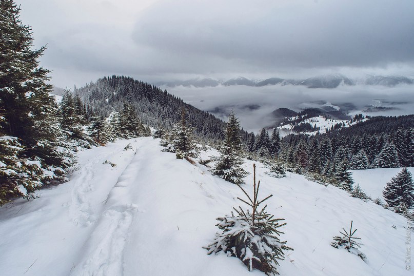 Carpathian Mountains, Ukraine - 7