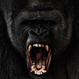 ���� ������, �����, 42 ���� - ��������� 31 ������� 2016