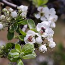 ���� Serg, �����������, 59 ��� - ��������� 2 ��� 2016 � ������ ���� ����������