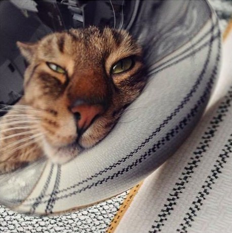       - 1  2016  02:30 - 3