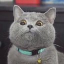 ���� �����, ������, 44 ���� - ��������� 28 ������� 2016 � ������ ���� ����������