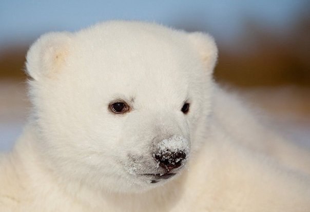  .#animal@travel.blog - 9