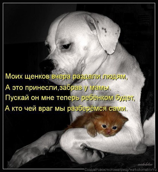   - 3  2016  21:05