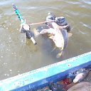 ���� ��������, ����-�������, 61 ��� - ��������� 28 ����� 2016 � ������ ���� ����������