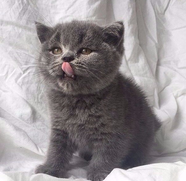 !!! - 3