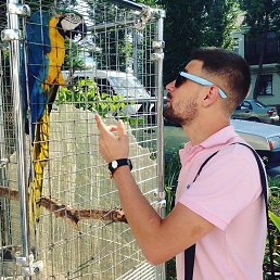 Alexandr, ��������, 43 ����