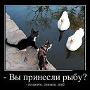 ���� Alekcandr, ������ - ��������� 20 ��� 2016 � ������ ���� ����������