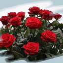 ���� @...������ �����***, �������� - ��������� 23 ���� 2016 � ������ ������ ��������