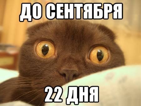 ׸  - 9  2016  14:43