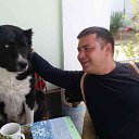 ���� �����, ������, 43 ���� - ��������� 19 ������� 2016