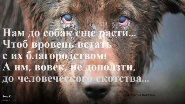  - 5  2016  11:38