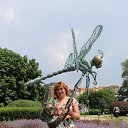 ���� �����, ������, 43 ���� - ��������� 5 ���� 2016 � ������ ���