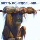 ���� ������, ��������� - ��������� 29 ��� 2016 � ������ ������ ��������