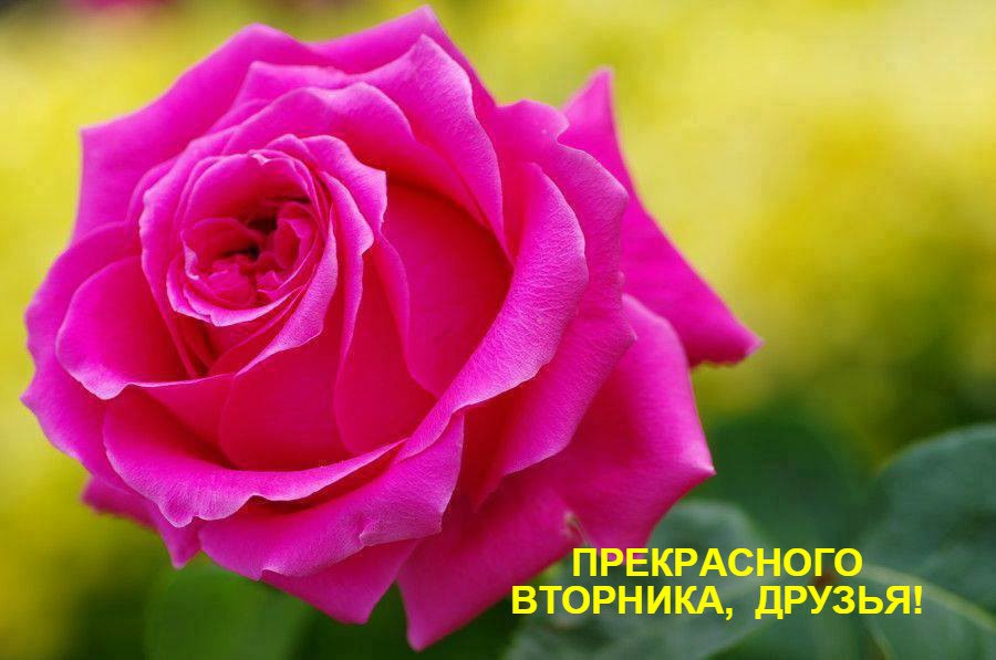 ...[a]_voe_so Le... - 19  2016  14:09