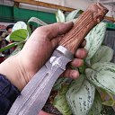  Ҹ, , 40  -  18  2016    