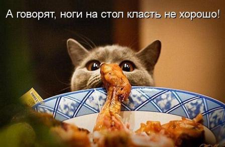   - 2  2016  22:57