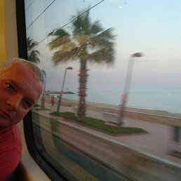 �����, ������, 46 ���