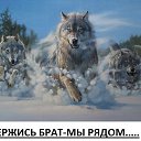 ���� ��������� �������, ��������-��-������, 67 ��� - ��������� 30 ����� 2016 � ������ ������ ��������