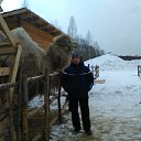 ���� �������, ���������, 53 ���� - ��������� 20 ����� 2016 � ������ �1�