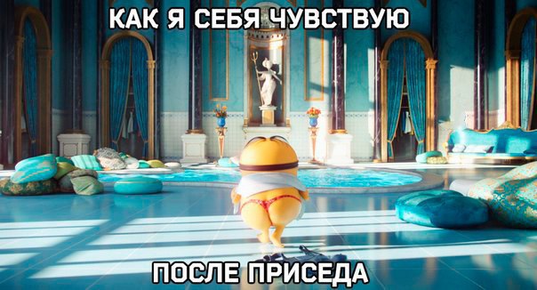 SportFeed - 30  2016  21:41