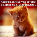 ���� ������, ������, 21 ��� - ��������� 21 ����� 2016 � ������ ���� ����������