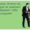 ���� Vinos, ������ - ��������� 3 ������� 2016 � ������ ���� ����������
