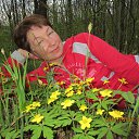 ���� ���, ��������, 62 ���� - ��������� 17 ��� 2016 � ������ ���� ����������