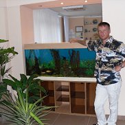 , 51 , 