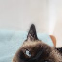 ���� Nally_killer, ������ - ��������� 26 ���� 2016 � ������ ���� ����������
