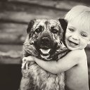 ���� ����, ���������, 41 ��� - ��������� 7 ��� 2016 � ������ ���� ����������