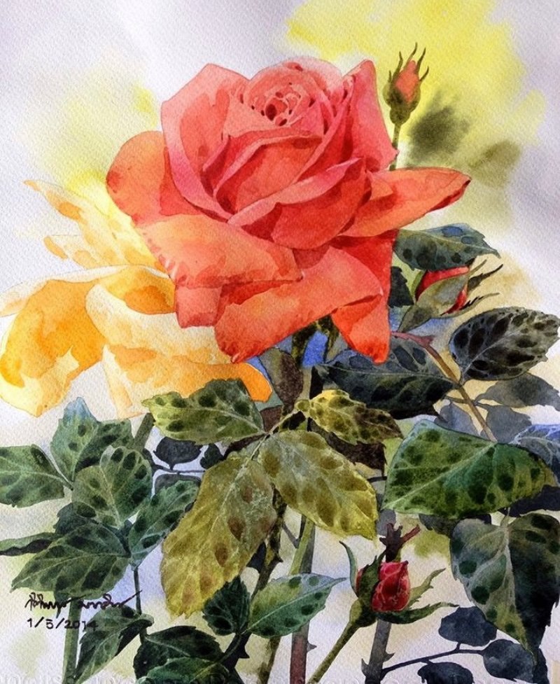 ����� �������� ��������� �� �������� KITIPONG TI . � ��� ���� ����� ���� �����. ��� � ���� ������ ... - 5