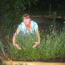 ���� �����, ������, 48 ��� - ��������� 30 ���� 2016 � ������ ���� ����������