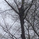 ���� ���������, ���������, 34 ���� - ��������� 29 ������ 2016 � ������ ������ ��������