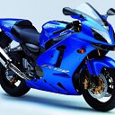 ���� ��������, �������, 41 ��� - ��������� 13 ���� 2016 � ������ ���� ���� ������