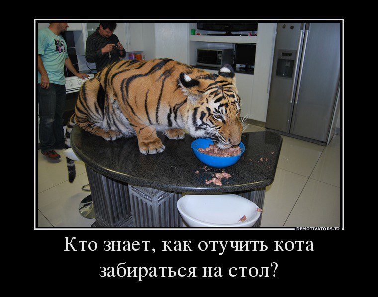  ,     ?