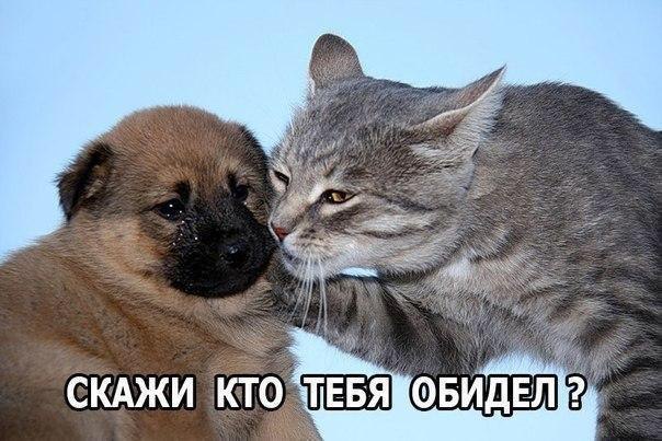    - 2  2016  04:13