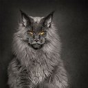 ���� �����, ���� - ��������� 7 �������� 2016 � ������ ������ ��������