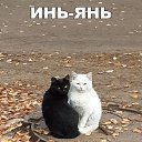 ���� ������, �����-��������� - ��������� 24 ��� 2016 � ������ ������ ��������