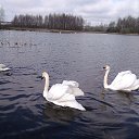 ���� �����, ����������, 61 ��� - ��������� 22 ���� 2016 � ������ ���� ����������