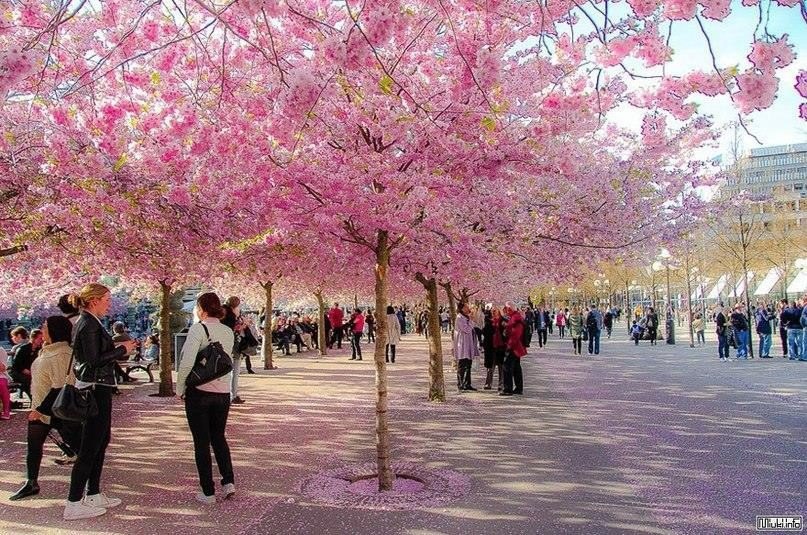   . . . . #@https://fotostrana.ru/away?to=/sl/XE2 #@https://fotostrana.ru/away?to=/sl/XE2 - 7