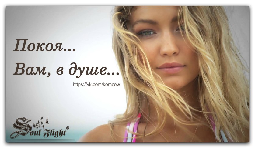      ,  -  ...      -    ...