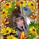 ���� �����, ����������� ����, 51 ��� - ��������� 11 ��� 2016 � ������ ���� ����������