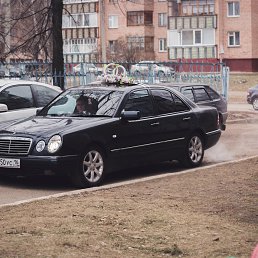 ���� ���, ����������, 41 ��� - ��������� 4 ���� 2016