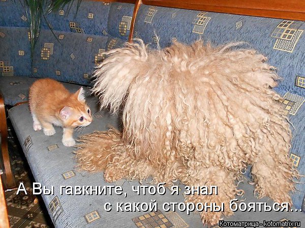  - 13  2016  12:41