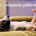 ���� ���, �����-���������, 40 ��� - ��������� 16 ���� 2016 � ������ ������ ��������