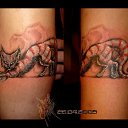 ���� Liana, �����������, 45 ��� - ��������� 14 ��� 2016 � ������ ����� (�������� � 2006 ����.)�