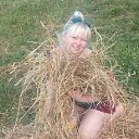  , -, 49  -  10  2016    